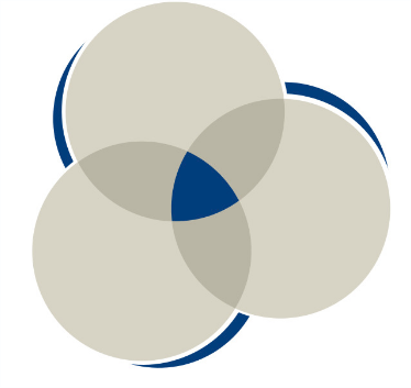 logoMECM - Rodrigo Bresciani Canto.png